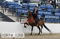10r14_1258 proof