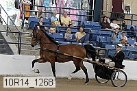 10r14_1268 proof