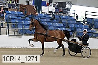 10r14_1271 proof