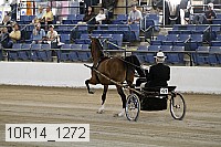 10r14_1272 proof