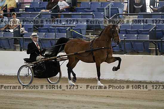 Proof 10r14_1273