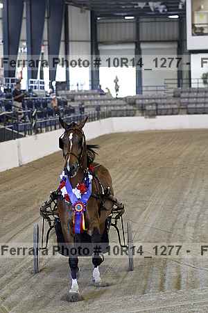 Proof 10r14_1277