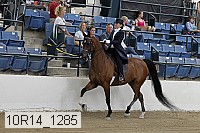 10r14_1285 proof