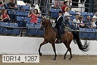 10r14_1287 proof