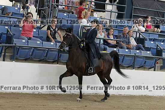 Proof 10r14_1295