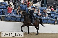 10r14_1295 proof