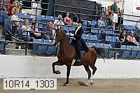 10r14_1303 proof