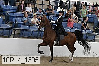 10r14_1305 proof
