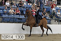 10r14_1308 proof