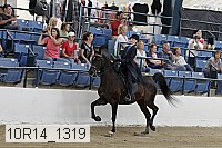 10r14_1319 proof