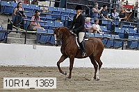 10r14_1369 proof