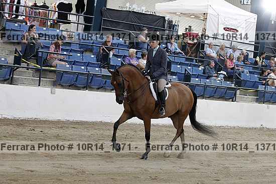 Proof 10r14_1371