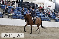 10r14_1371 proof