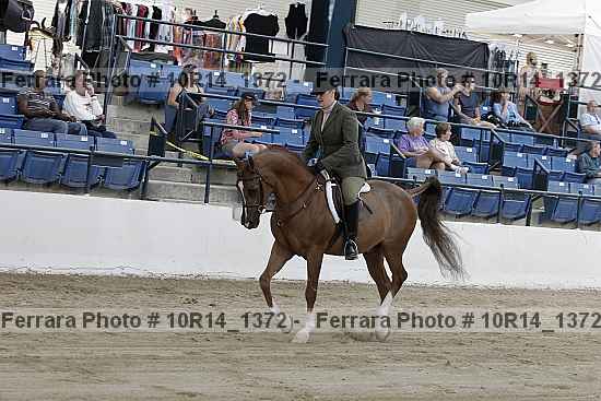 Proof 10r14_1372