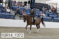 10r14_1372 proof