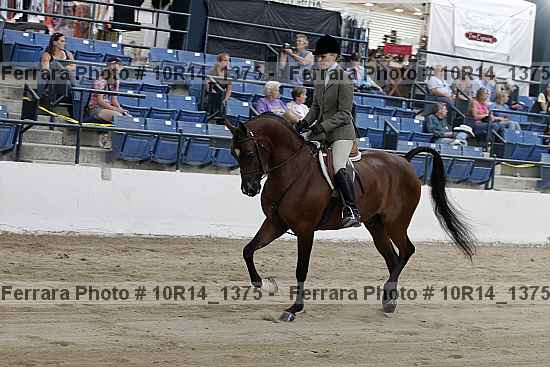 Proof 10r14_1375