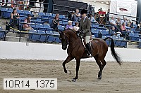 10r14_1375 proof