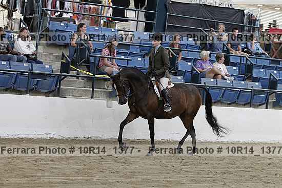 Proof 10r14_1377