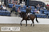10r14_1377 proof