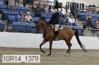 10r14_1379 proof