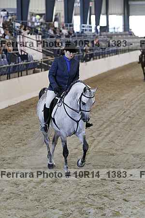 Proof 10r14_1383