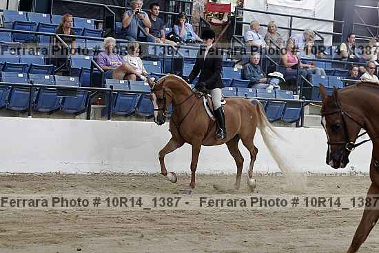 Proof 10r14_1387