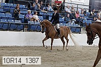 10r14_1387 proof