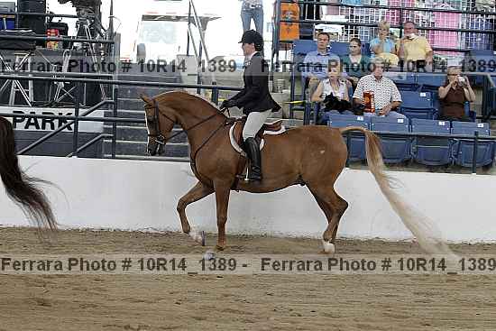 Proof 10r14_1389