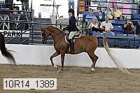 10r14_1389 proof