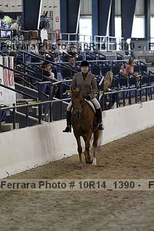 Proof 10r14_1390