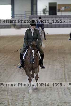 Proof 10r14_1395