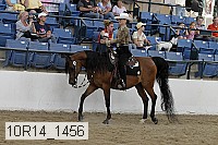 10r14_1456 proof