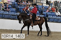 10r14_1463 proof