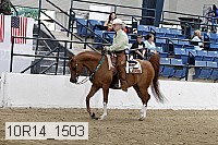 10r14_1503 proof