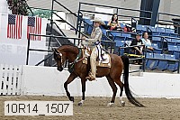 10r14_1507 proof