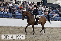 10r14_1554 proof