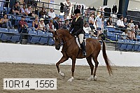 10r14_1556 proof
