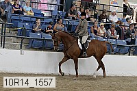 10r14_1557 proof