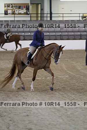 Proof 10r14_1558