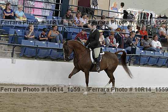 Proof 10r14_1559