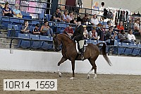 10r14_1559 proof