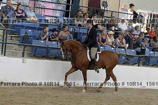 Proof 10r14_1561