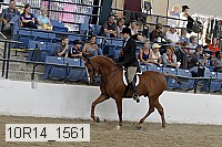 10r14_1561 proof