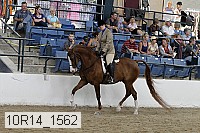 10r14_1562 proof