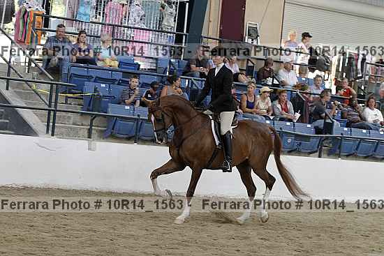 Proof 10r14_1563