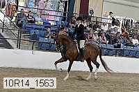10r14_1563 proof