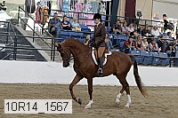 10r14_1567 proof