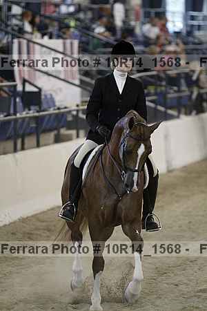 Proof 10r14_1568