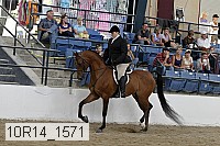 10r14_1571 proof