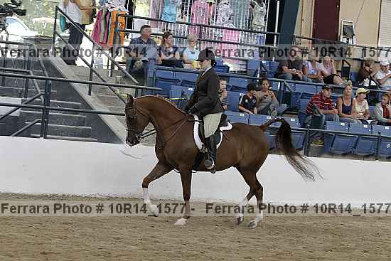 Proof 10r14_1577
